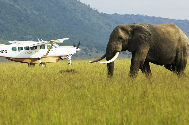 Amboseli flying safari