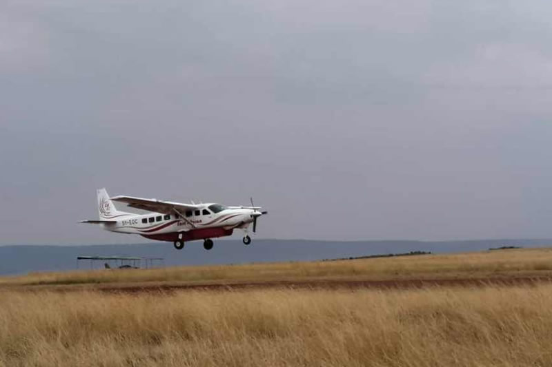 Masai Mara Flying Safari