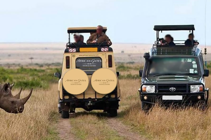 About African Gates Tours and Safaris