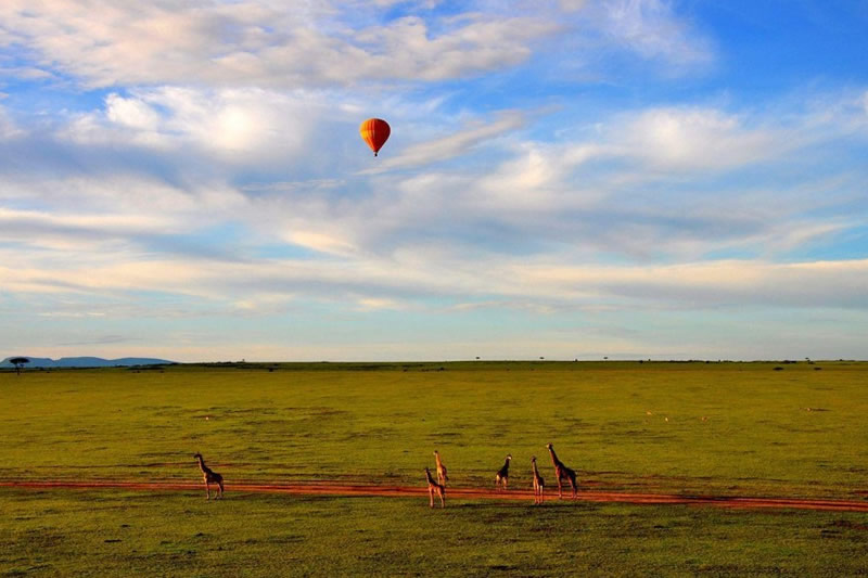 Kenya Balloon Safaris